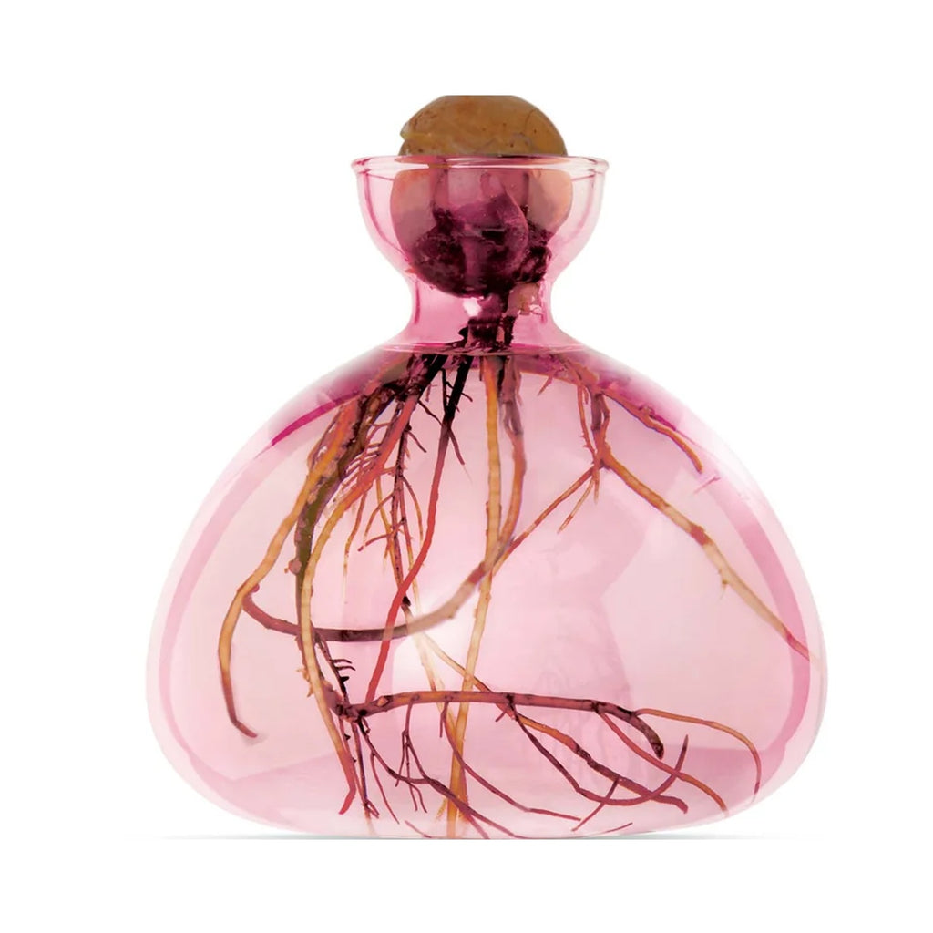 Avocado Vase - Rose Pink