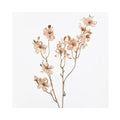 Blossom Metallic Spray - Almond