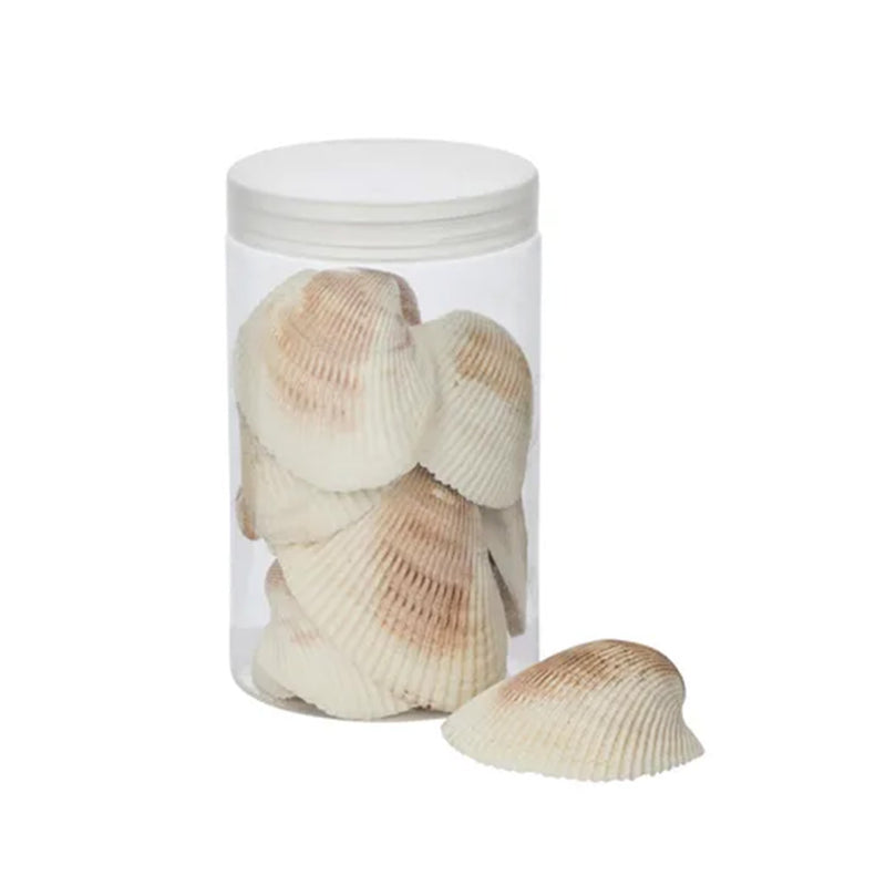 Seashells Cockle 500g