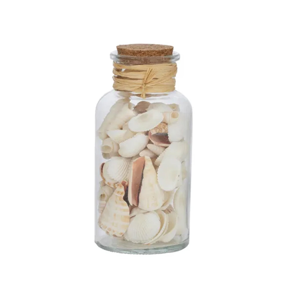 Seashells Glass Jar Mixed