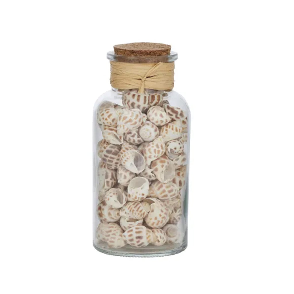 Seashells Glass Jar Nautica