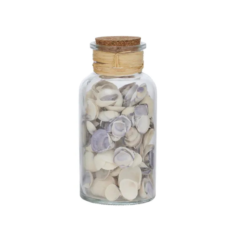 Seashells Glass Jar Blue Venus