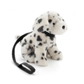 Debbie The Dalmation
