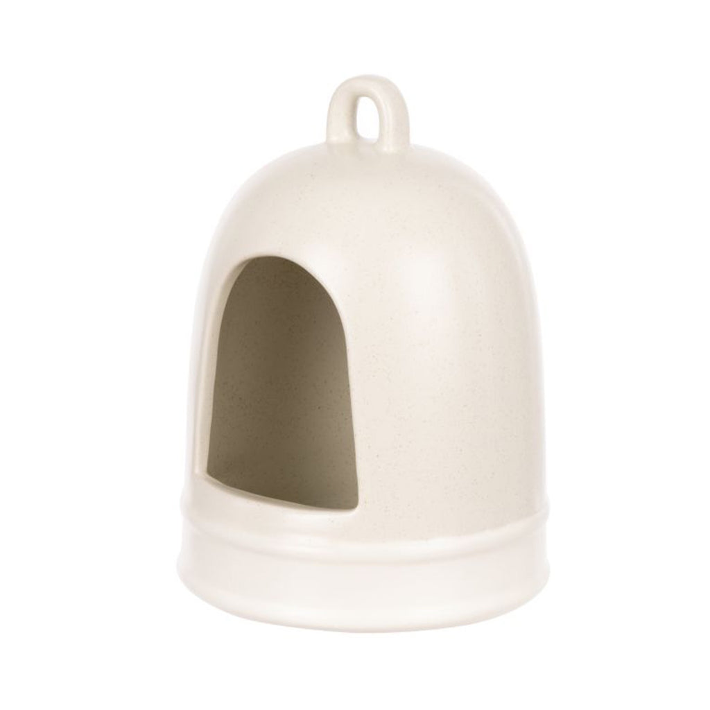 Salt Pig Darley