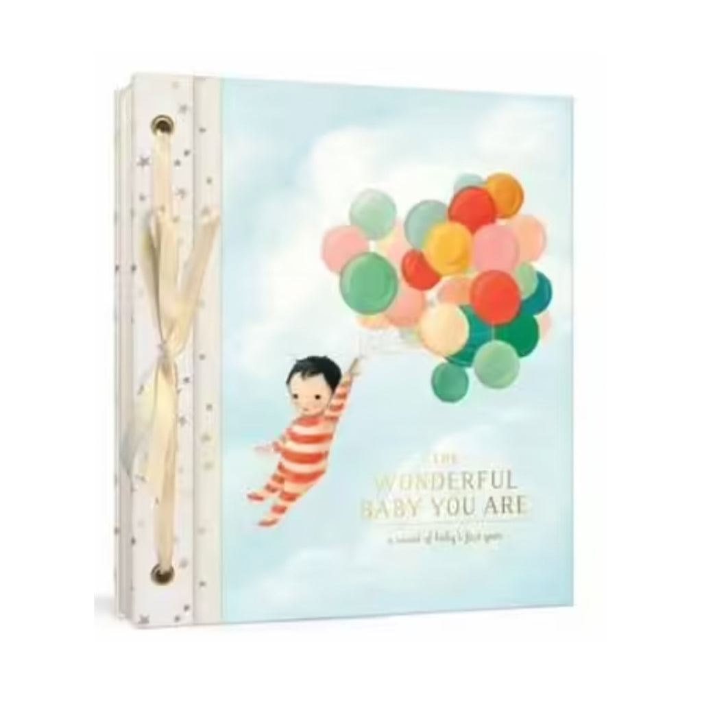 Emily Winfield Martin - Wonderful Baby You Are- My First Year Book