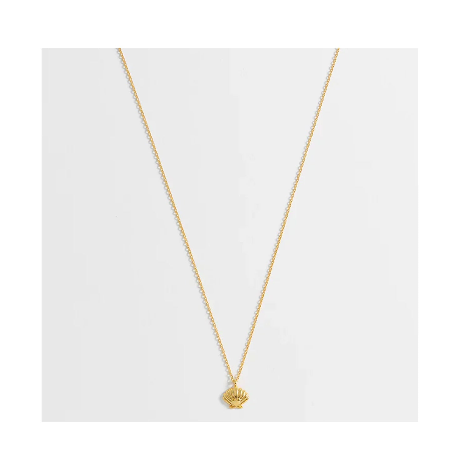 Necklace Scallop & Heart Gold