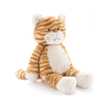 Ginger The Cat