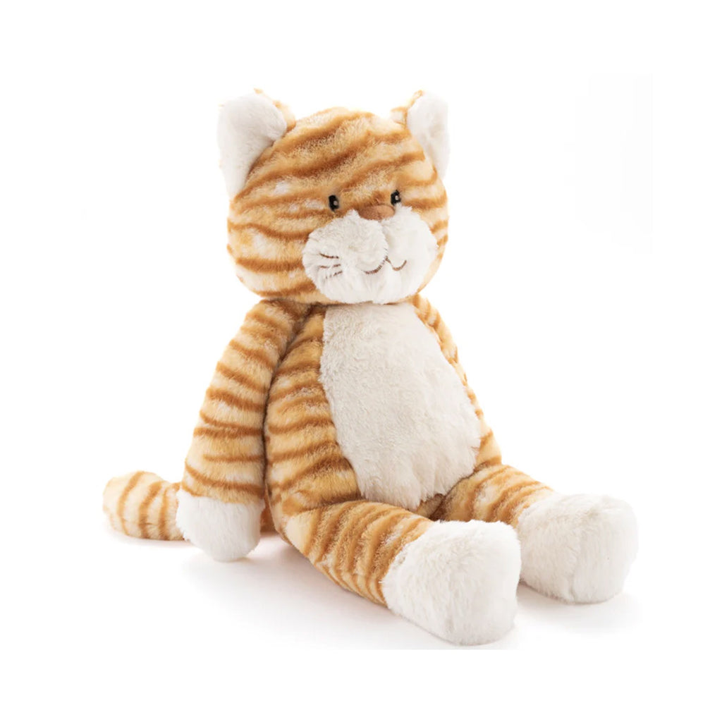 Ginger The Cat