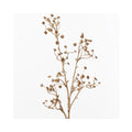 Gypso Metallic Spray - Champagne