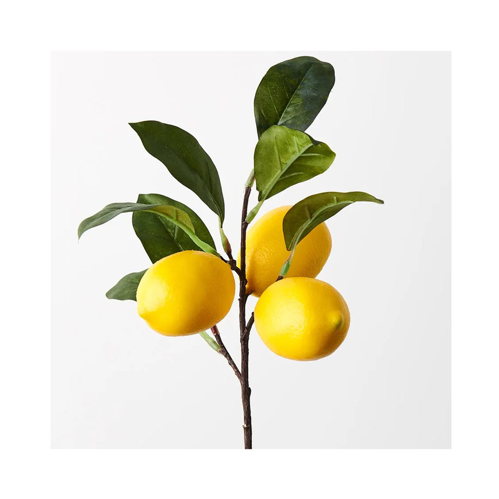 Faux Lemon Spray