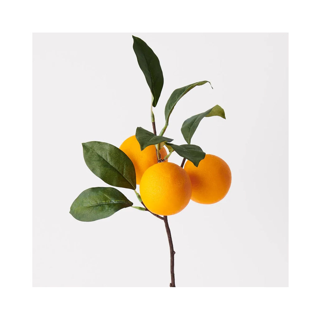 Faux Orange Spray