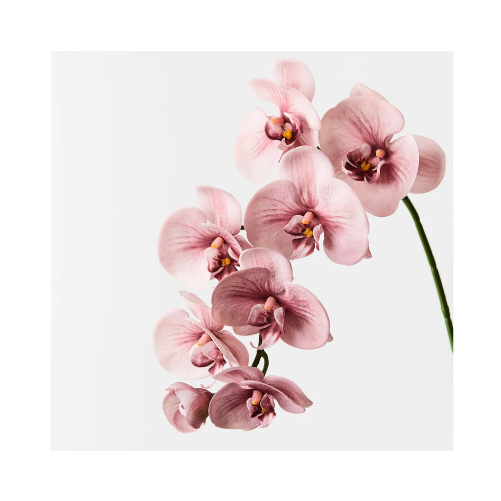 Faux Orchid Phalaenopsis Spray - Dusty Pink