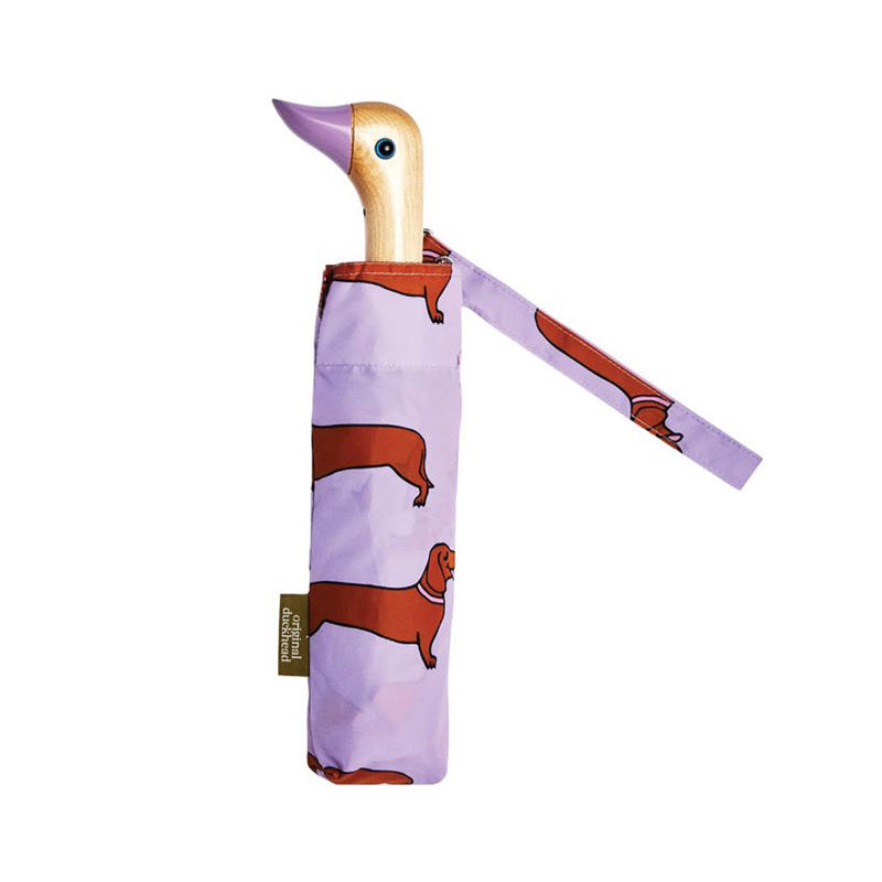 Umbrella Duckhead Dachshund