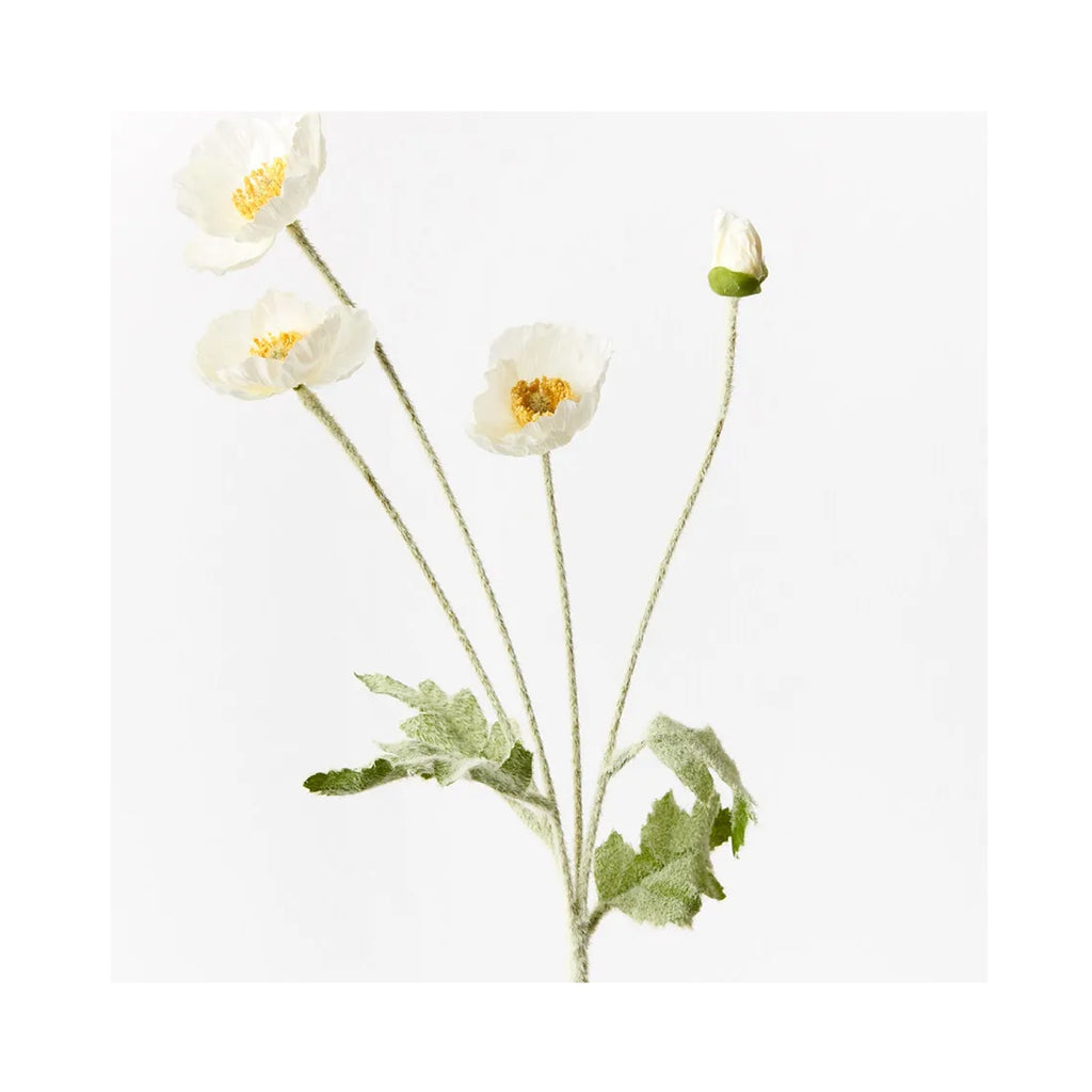Faux Poppy Iceland Spray - White