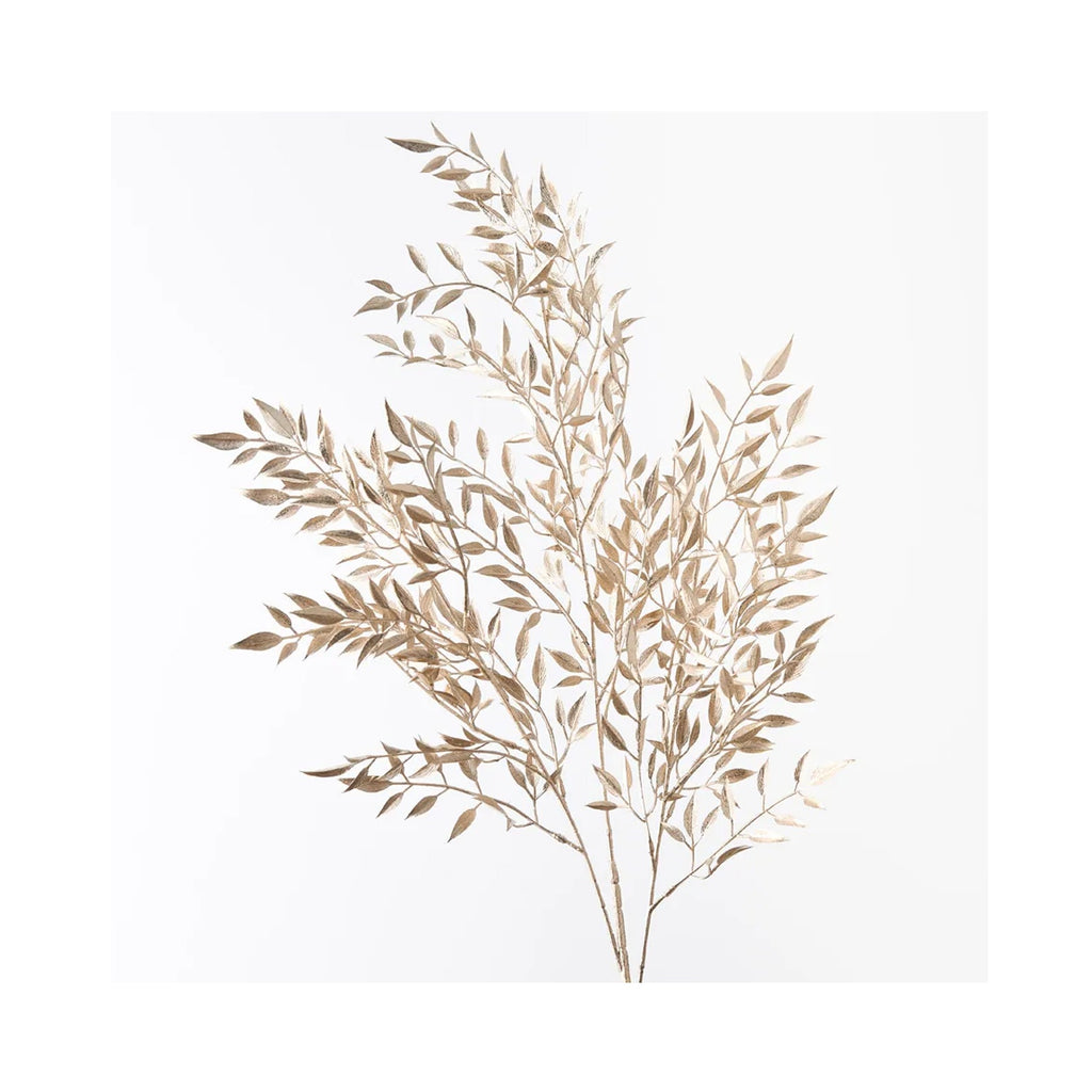 Ruscus Metallic Spray - Champagne