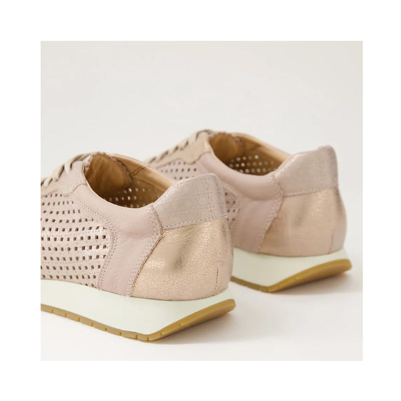 Shoe Parlicon - Blush & Rose