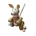 Push Along Kangaroo