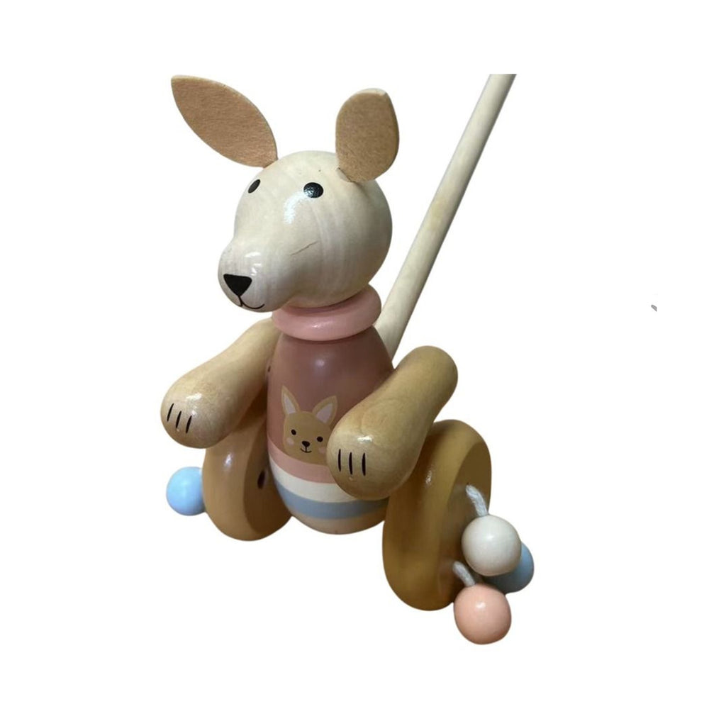 Push Along Kangaroo