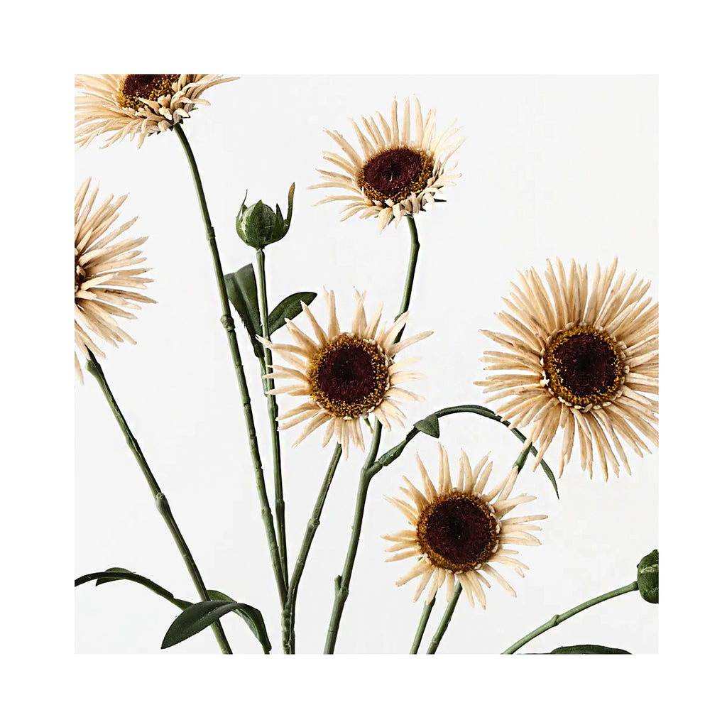 Daisy Spray - Ivory