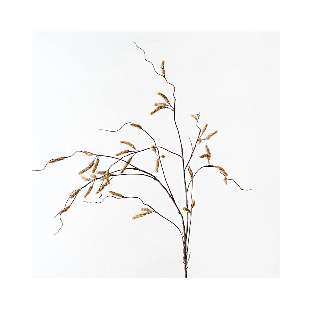 Amaranthus Spray