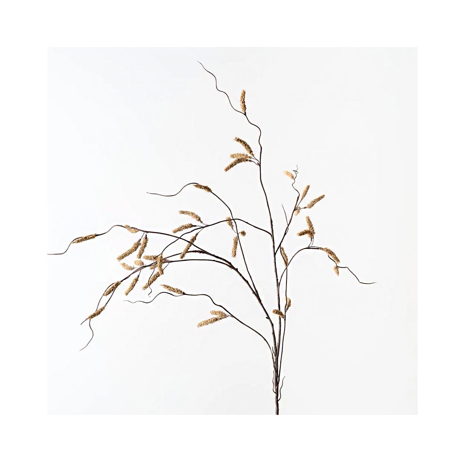 Amaranthus Spray