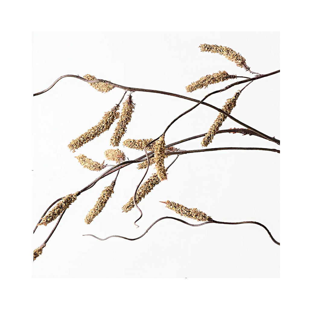 Amaranthus Spray