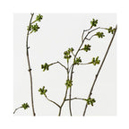 Berry Mountain Spray - Green