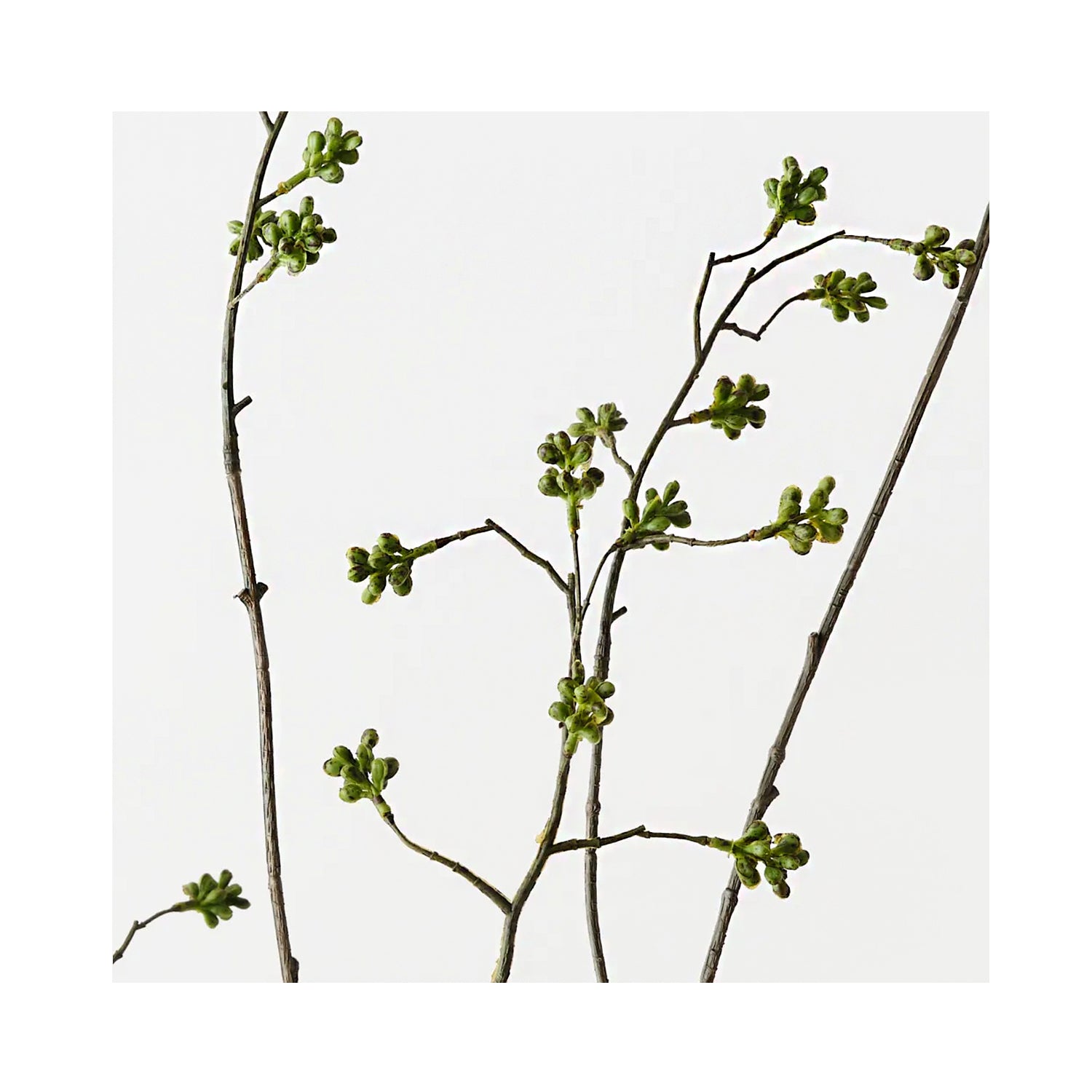 Berry Mountain Spray - Green