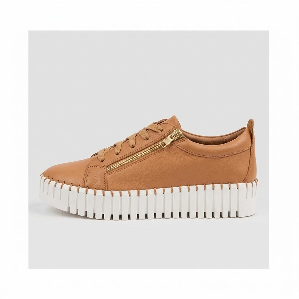 Sneakers Bump Scotch