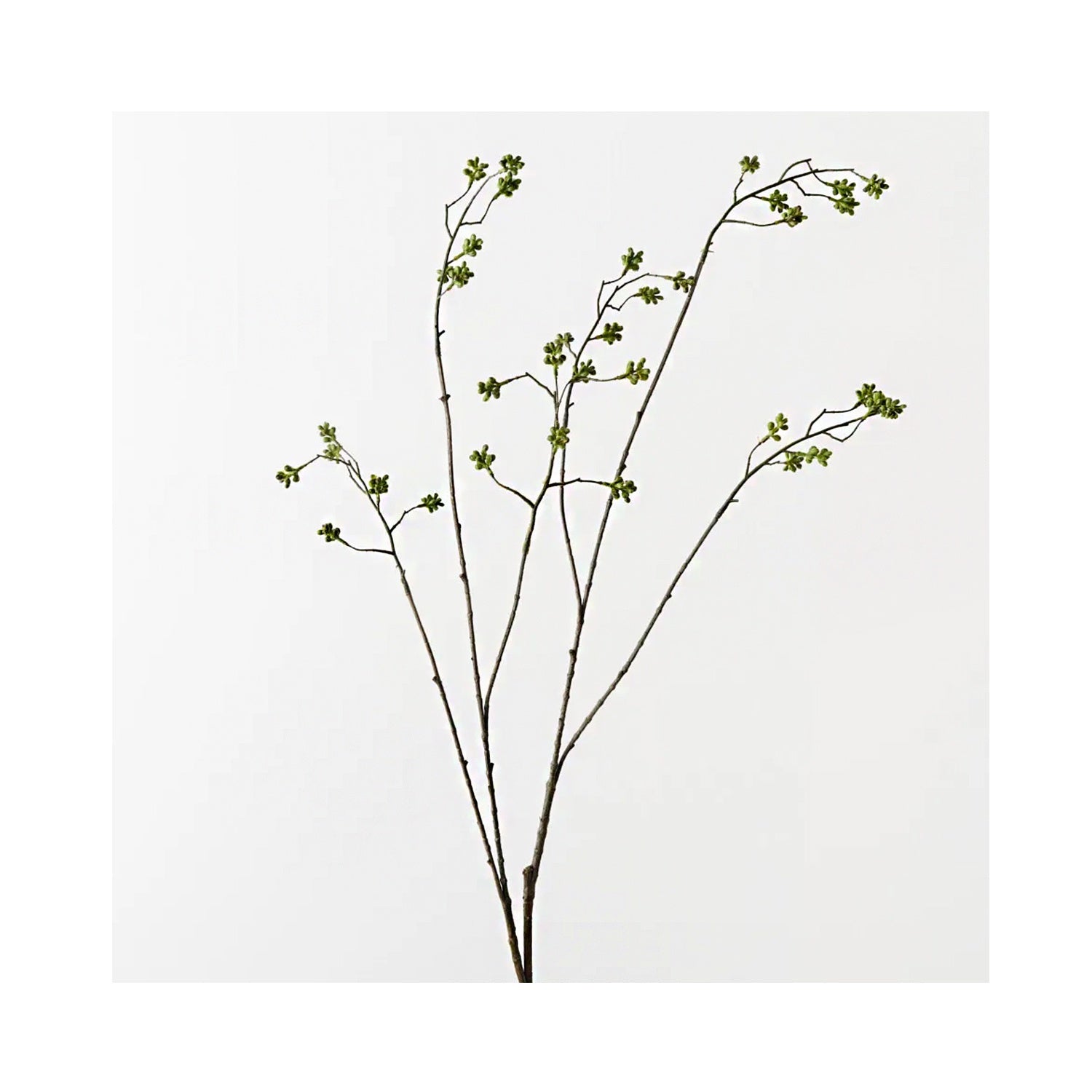 Berry Mountain Spray - Green