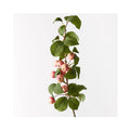 Crabapple Spray - Pink Green