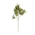Faux Citrus Leaf Spray 73cm