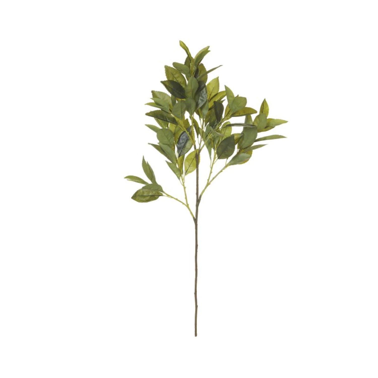 Faux Citrus Leaf Spray 73cm
