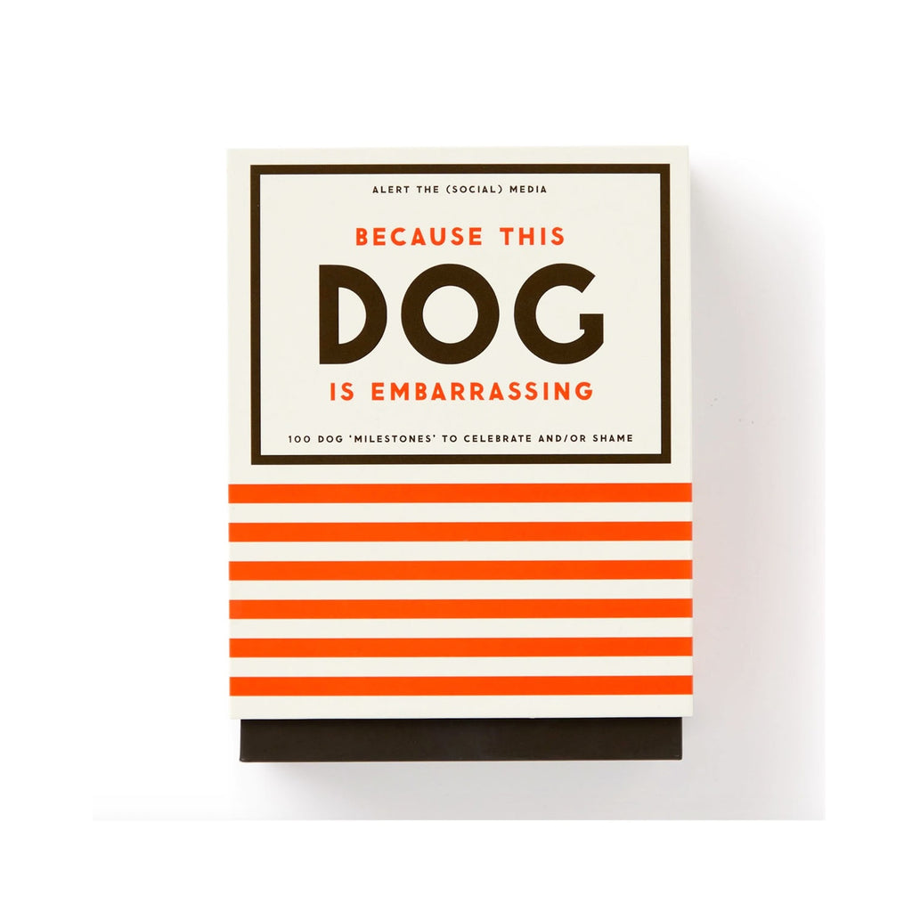 Deck Because This Dog Is Embarrassing