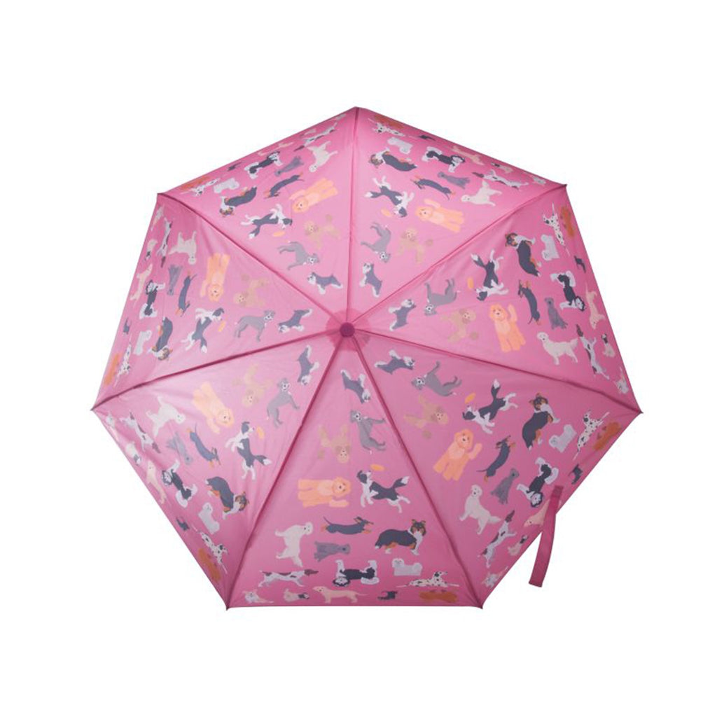 Umbrella The Dog Collective Assorted