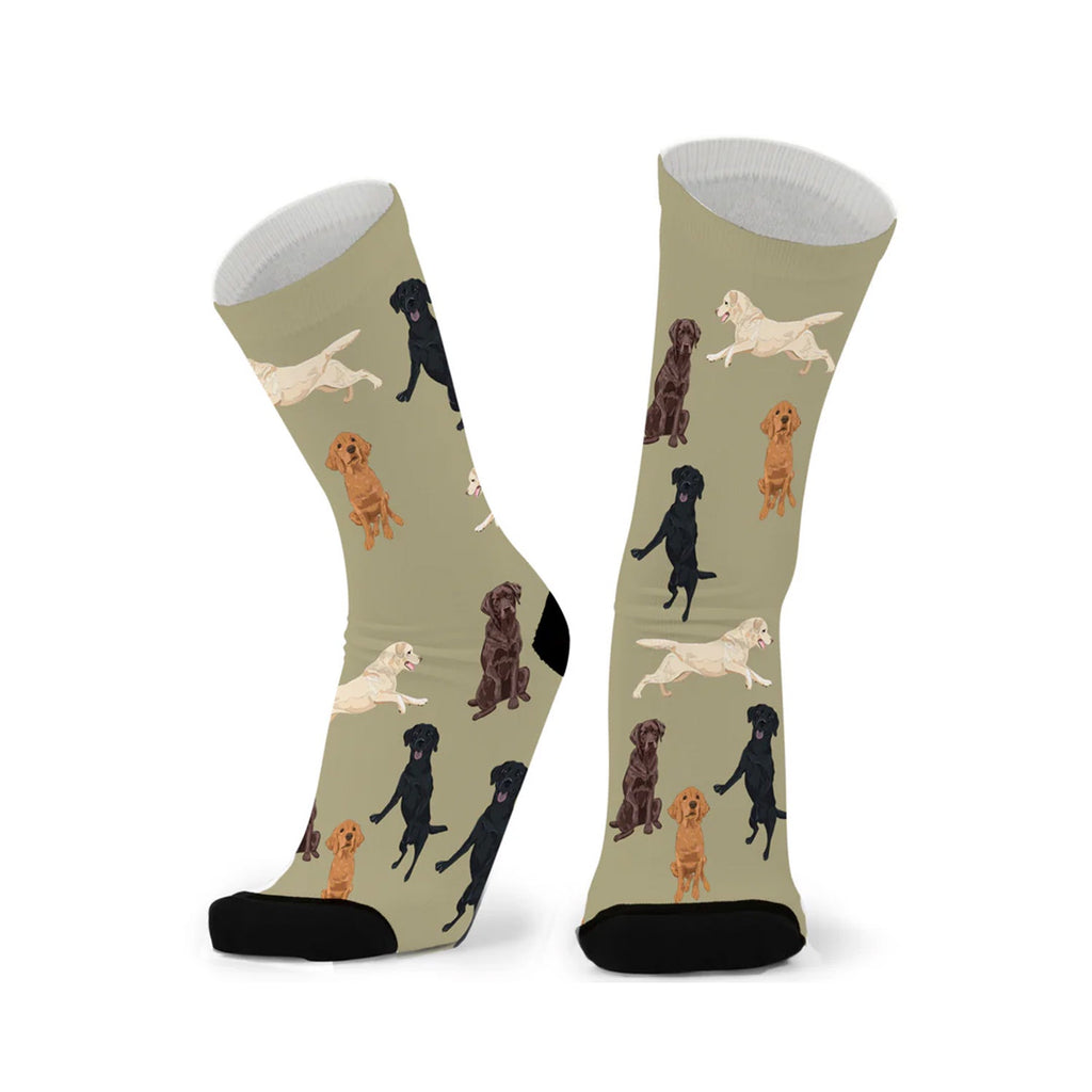 Socks Labrador
