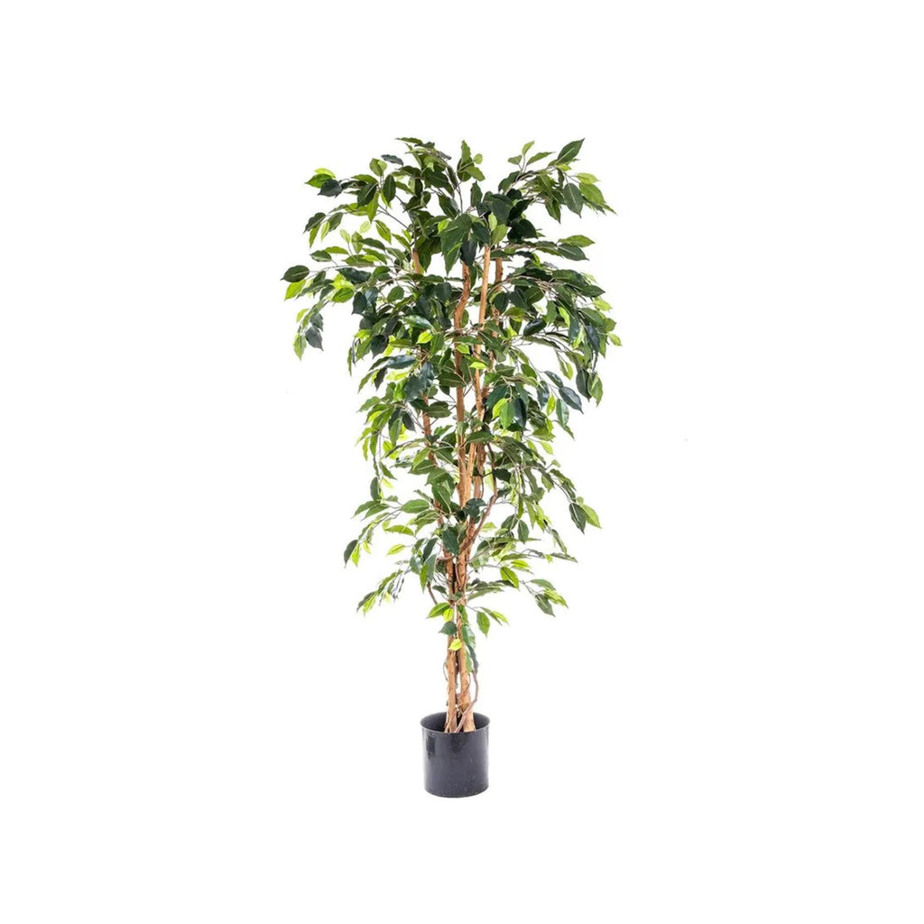 Faux Plant Ficus 152cm