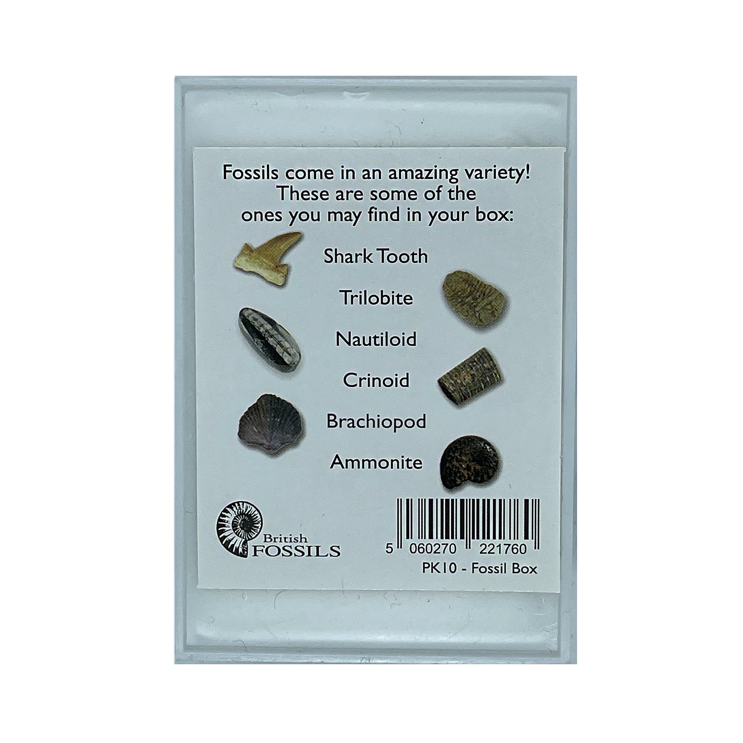 Fossil Boxes