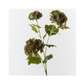 Hydrangea Spray - Olive Green