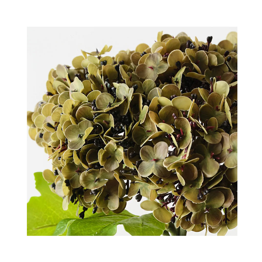 Hydrangea Bundle - Olive