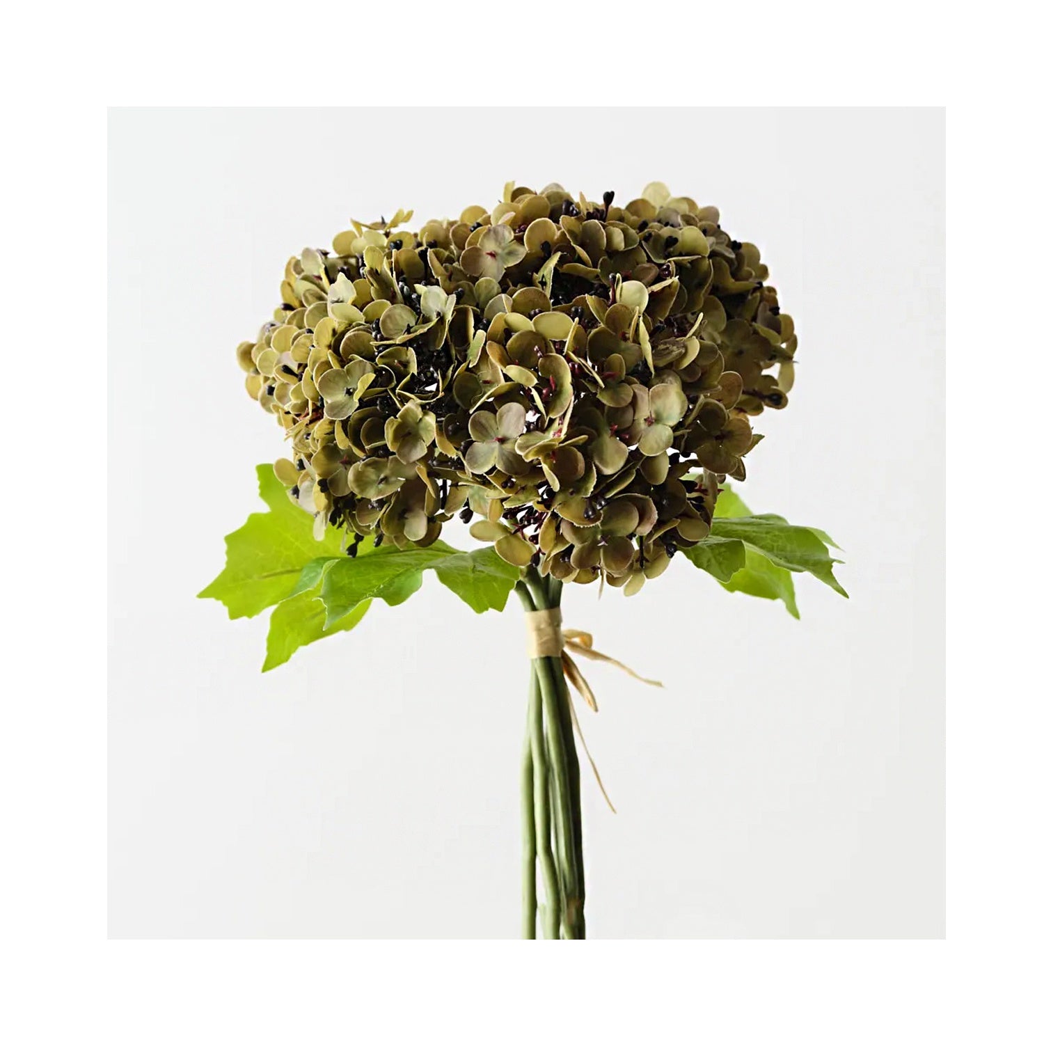 Hydrangea Bundle - Olive