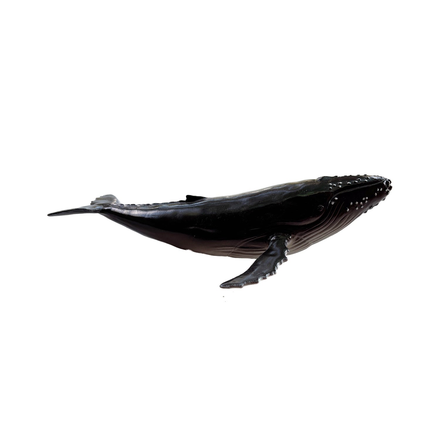 Soft Replica - Humpback Whale
