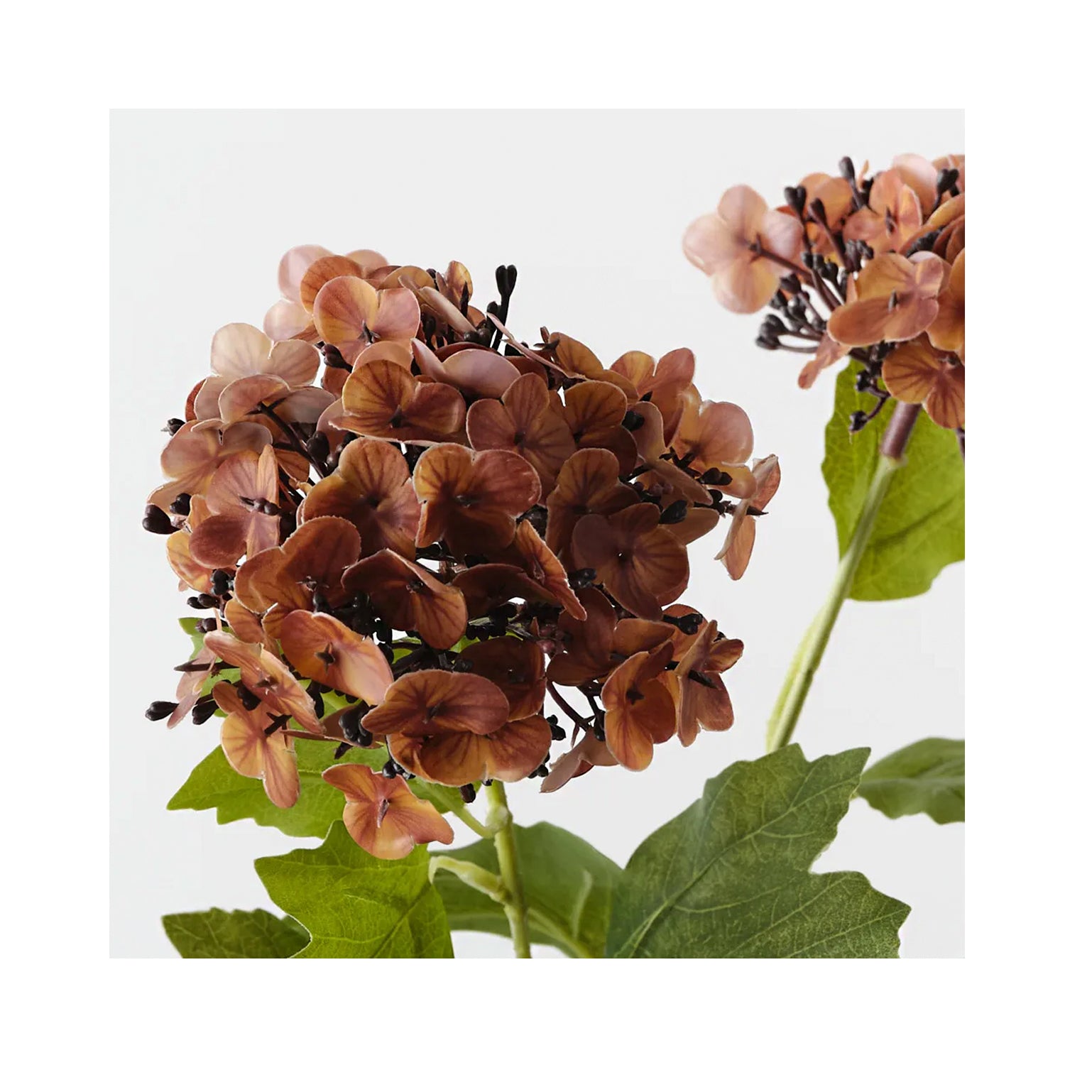 Hydrangea Spray - Burnt Orange