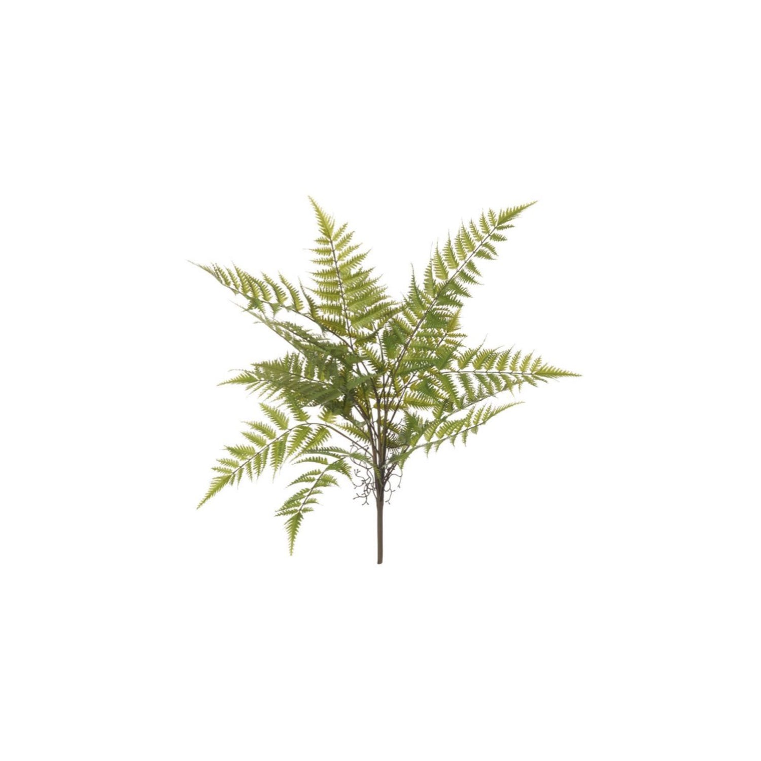 Faux Bracken Fern 70cm