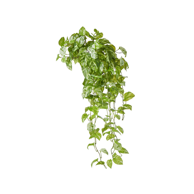 Faux Pothos Vine