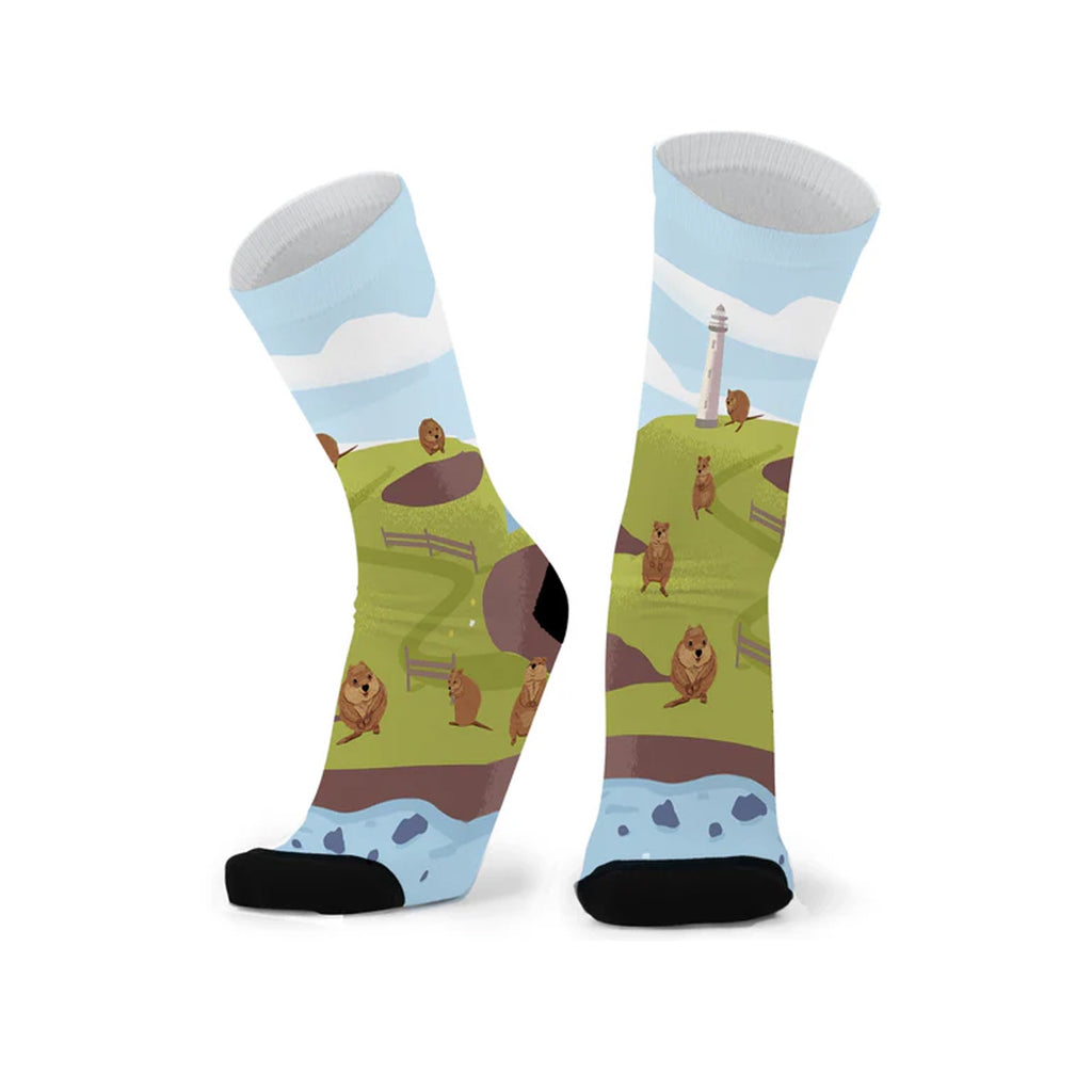 Socks Rotto