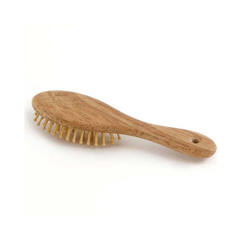 Hair Brush Travel