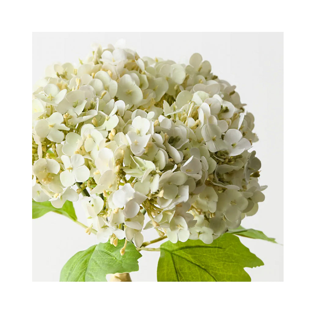 Hydrangea Bundle - White Green