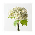 Hydrangea Bundle - White Green