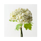 Hydrangea Bundle - White Green